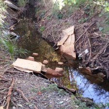 Creek with pallets and cardboard